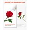 Red Velvet Artificial Roses 60 Stems with Flexible Wire, Realistic 5-Layer Bloom